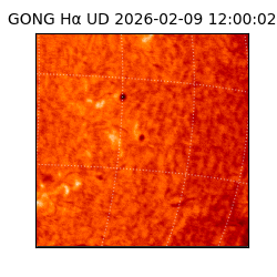 gong - 2026-02-09T12:00:02