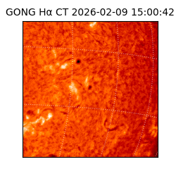 gong - 2026-02-09T15:00:42