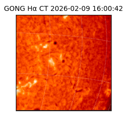 gong - 2026-02-09T16:00:42