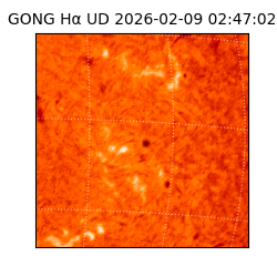 gong - 2026-02-09T02:47:02