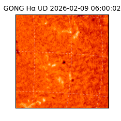 gong - 2026-02-09T06:00:02