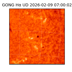 gong - 2026-02-09T07:00:02