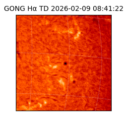 gong - 2026-02-09T08:41:22