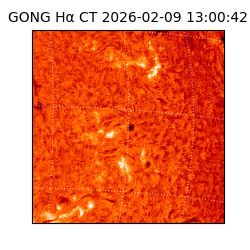 gong - 2026-02-09T13:00:42