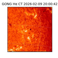 gong - 2026-02-09T20:00:42