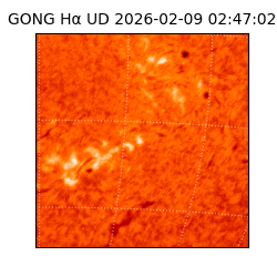 gong - 2026-02-09T02:47:02