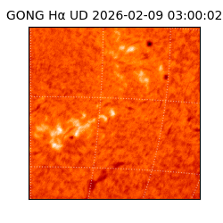 gong - 2026-02-09T03:00:02
