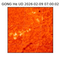 gong - 2026-02-09T07:00:02