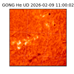gong - 2026-02-09T11:00:02
