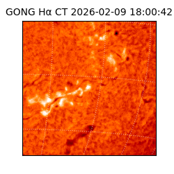 gong - 2026-02-09T18:00:42