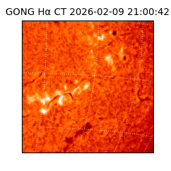 gong - 2026-02-09T21:00:42