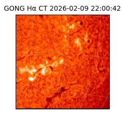 gong - 2026-02-09T22:00:42