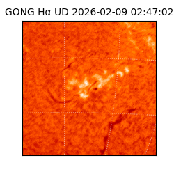 gong - 2026-02-09T02:47:02
