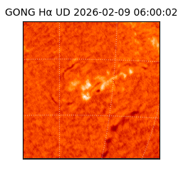gong - 2026-02-09T06:00:02