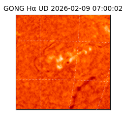gong - 2026-02-09T07:00:02