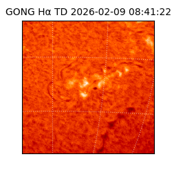 gong - 2026-02-09T08:41:22