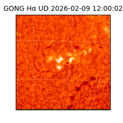 gong - 2026-02-09T12:00:02