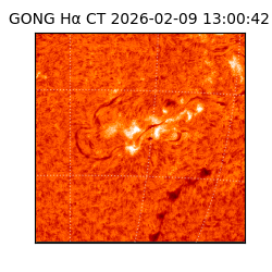 gong - 2026-02-09T13:00:42