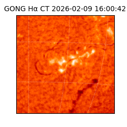 gong - 2026-02-09T16:00:42