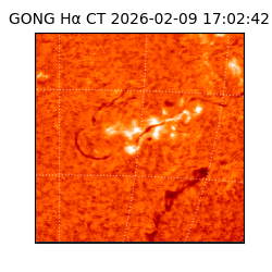 gong - 2026-02-09T17:02:42