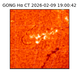 gong - 2026-02-09T19:00:42