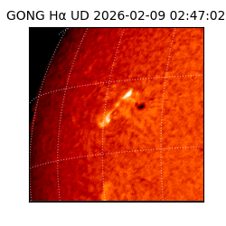 gong - 2026-02-09T02:47:02