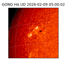 gong - 2026-02-09T05:00:02