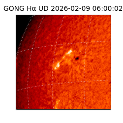 gong - 2026-02-09T06:00:02