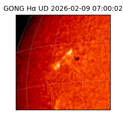 gong - 2026-02-09T07:00:02