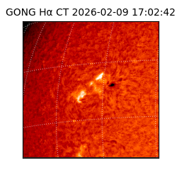 gong - 2026-02-09T17:02:42