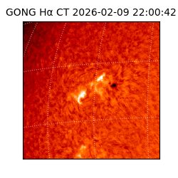 gong - 2026-02-09T22:00:42