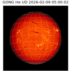 gong - 2026-02-09T05:00:02