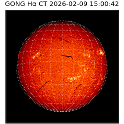 gong - 2026-02-09T15:00:42