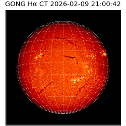 gong - 2026-02-09T21:00:42