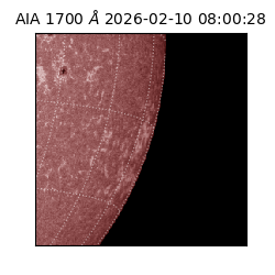 saia - 2026-02-10T08:00:28.718000