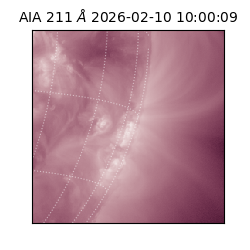 saia - 2026-02-10T10:00:09.622000