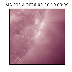 saia - 2026-02-10T19:00:09.631000