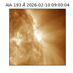 saia - 2026-02-10T09:00:04.846000