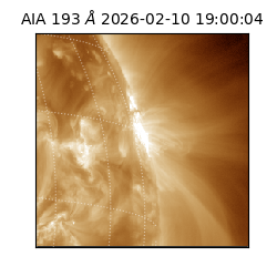 saia - 2026-02-10T19:00:04.847000