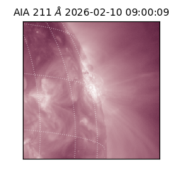 saia - 2026-02-10T09:00:09.626000