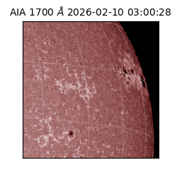 saia - 2026-02-10T03:00:28.734000