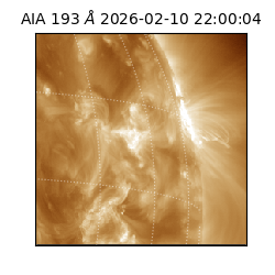 saia - 2026-02-10T22:00:04.835000