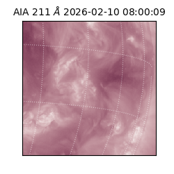 saia - 2026-02-10T08:00:09.630000