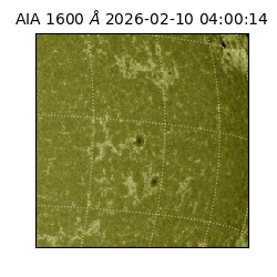 saia - 2026-02-10T04:00:14.125000