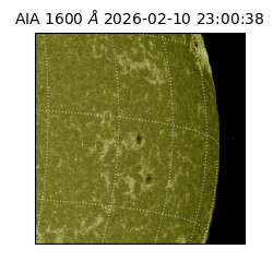 saia - 2026-02-10T23:00:38.130000