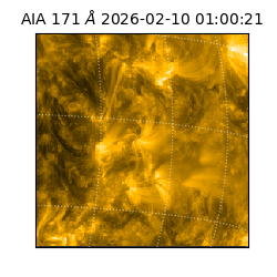 saia - 2026-02-10T01:00:21.343000