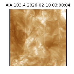 saia - 2026-02-10T03:00:04.843000