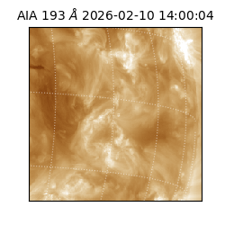 saia - 2026-02-10T14:00:04.843000