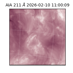 saia - 2026-02-10T11:00:09.626000