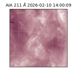 saia - 2026-02-10T14:00:09.629000